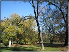 foto Giardini di Porta Venezia